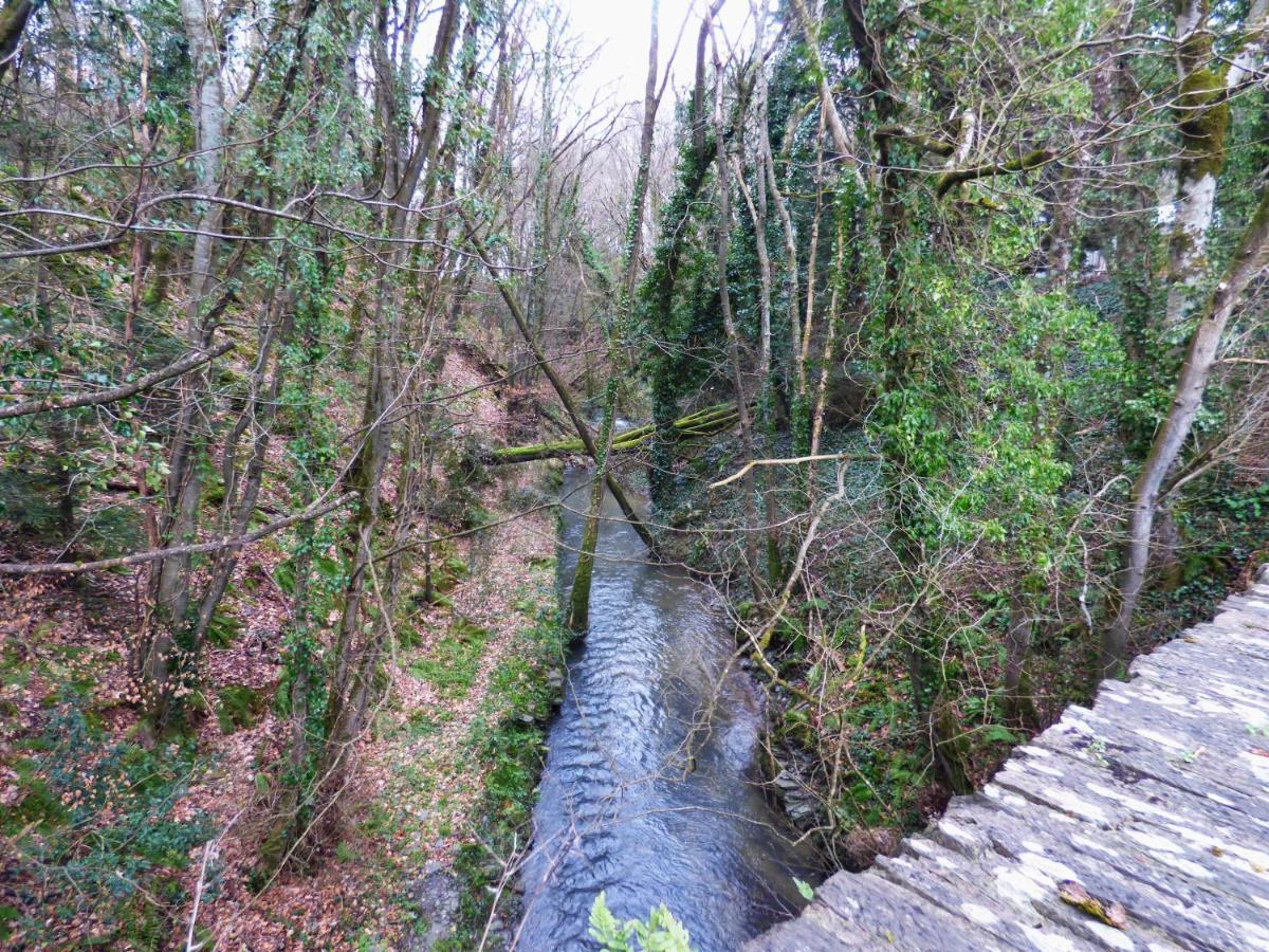 The Mill Cottage Llechryd Eksteriør bilde